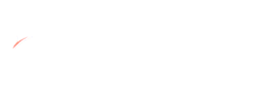 L.B. Auto's, aan- en verkoop